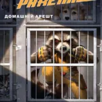 Єнот Ракета.Домашній арешт