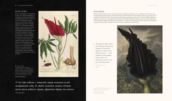 КНИГА Гаррі Поттер: Історія магії - Зображення 3