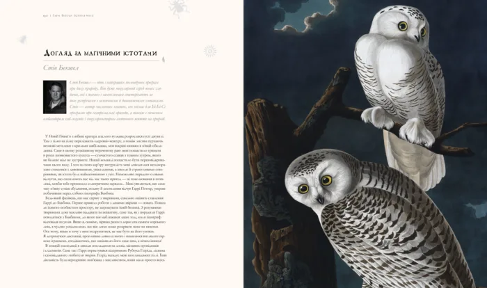 КНИГА Гаррі Поттер: Історія магії - Зображення 2