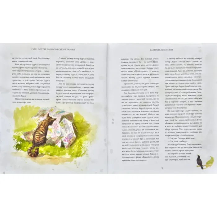 ГАРРІ ПОТТЕР І ФІЛОСОФСЬКИЙ КАМІНЬ. ВЕЛИКЕ ІЛЮСТРОВАНЕ ВИДАННЯ - Зображення 3