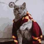 Картина по номерам Гаррі Поттер - Ловець снітча