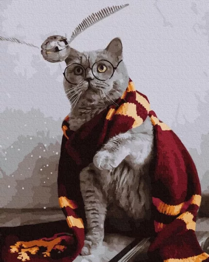 Картина по номерам Гаррі Поттер - Ловець снітча