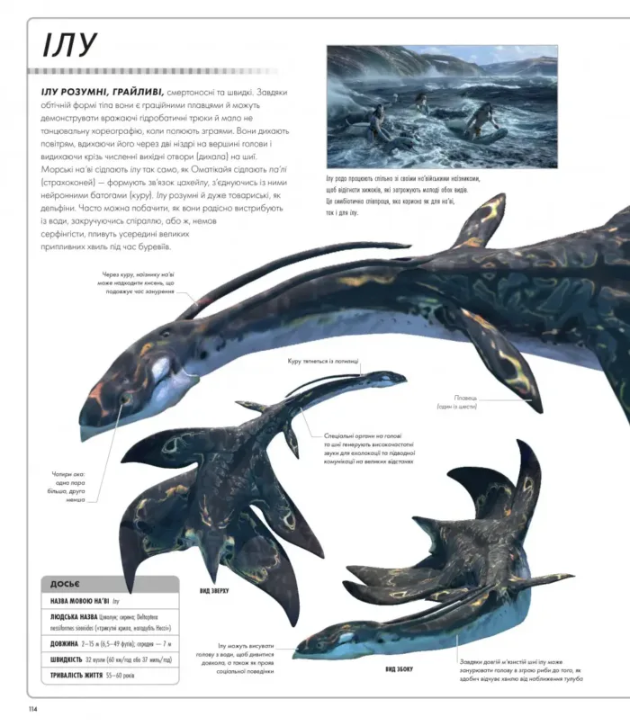 АВАТАР: Шлях води. Ілюстрований словник - Зображення 4