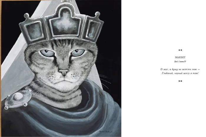 Галерея котів - Зображення 4