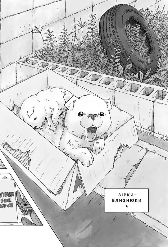 Пессик, який пильнує зірки. Том 2 - Зображення 3