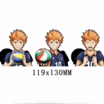 3Д наліпка Волейбол - Хіната