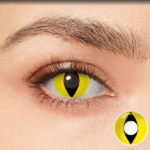 Лінзи Котик жовті MY10