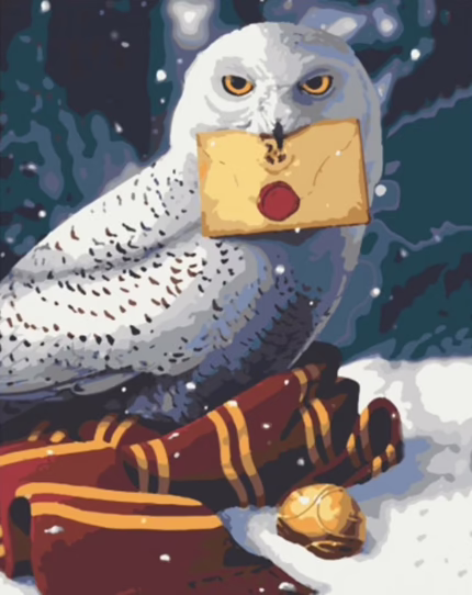 Картина по номерам Гаррі Поттер - Вам лист