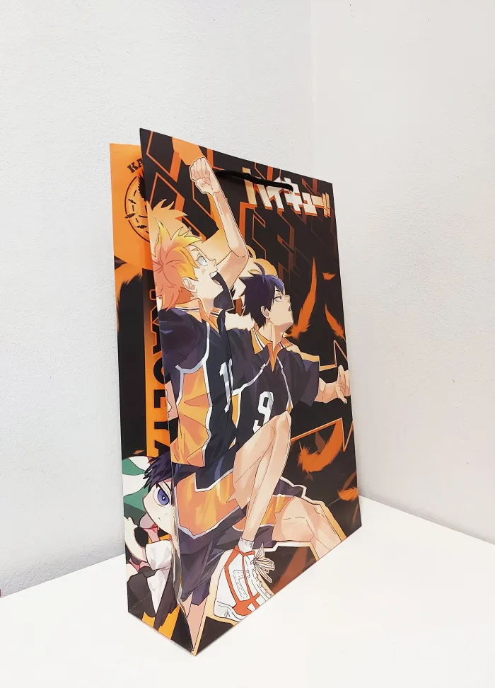 Пакет Волейбол 21х41х9 - Зображення 2