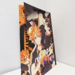 Пакет Волейбол 21х41х9