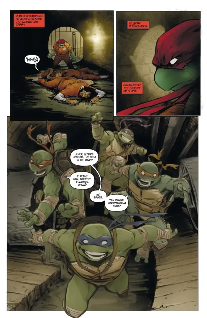 Підлітки Мутанти Ніндзя Черепахи. Випуск 1. Обкладинка 1 - Зображення 3