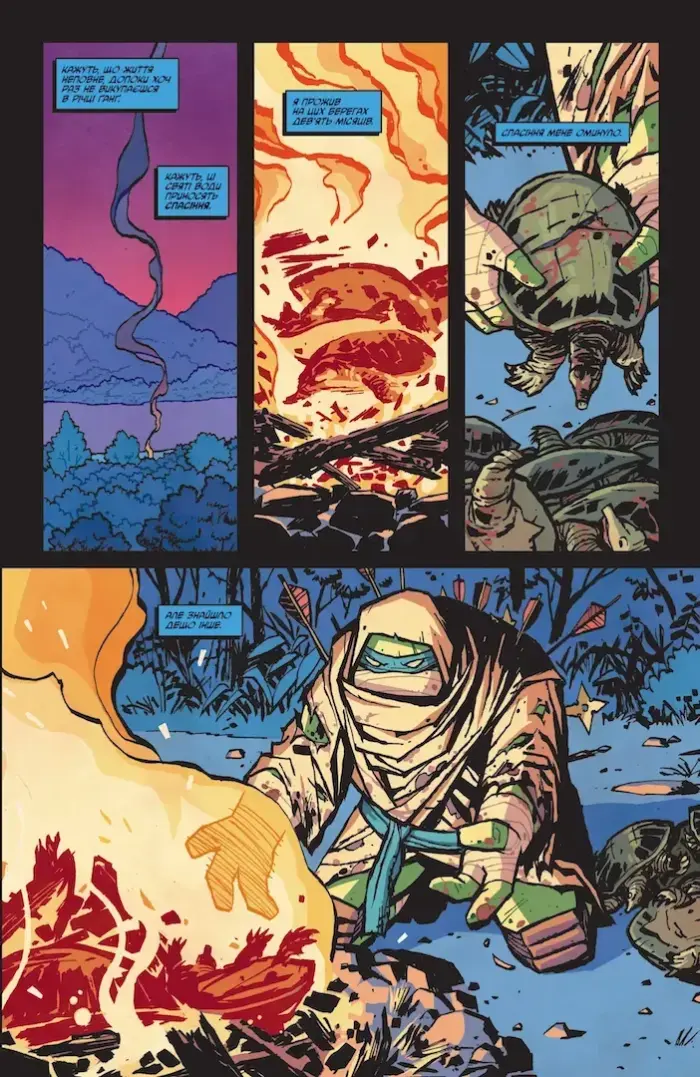 Підлітки Мутанти Ніндзя Черепахи. Випуск 3. Обкладинка 1 - Зображення 3