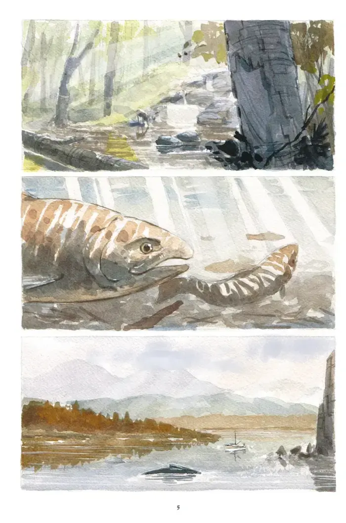 Коді - Зображення 2