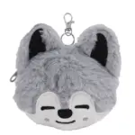 Монетниця K-POP Stray Kids Бан Чан