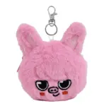 Монетниця K-POP Stray Kids Чанбін