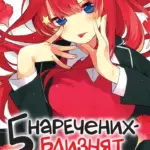 П'ять наречених близнят. Том 6